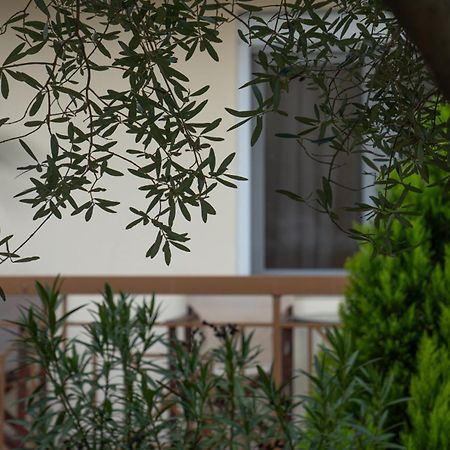 Guesthouse Adonis Káto Loutrákion Екстериор снимка